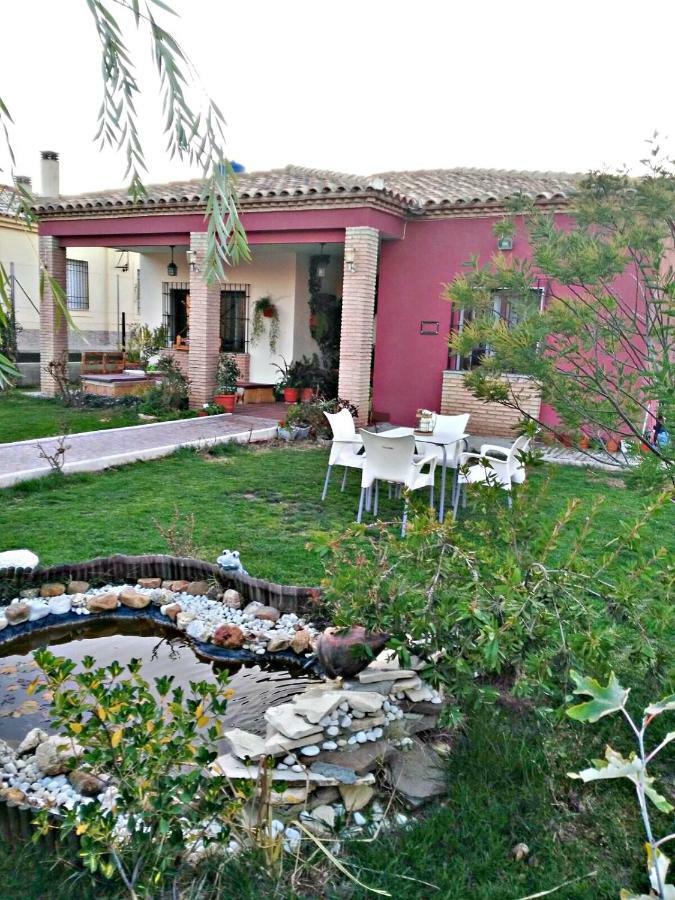 Los Rosales Alcaracejos Eksteriør bilde